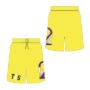 Picture of Training Shorts T2S 538S Custom