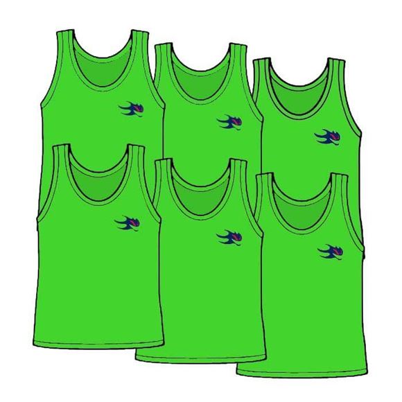 Picture of Package of 6 Youth Size Pinnies Style 905J 