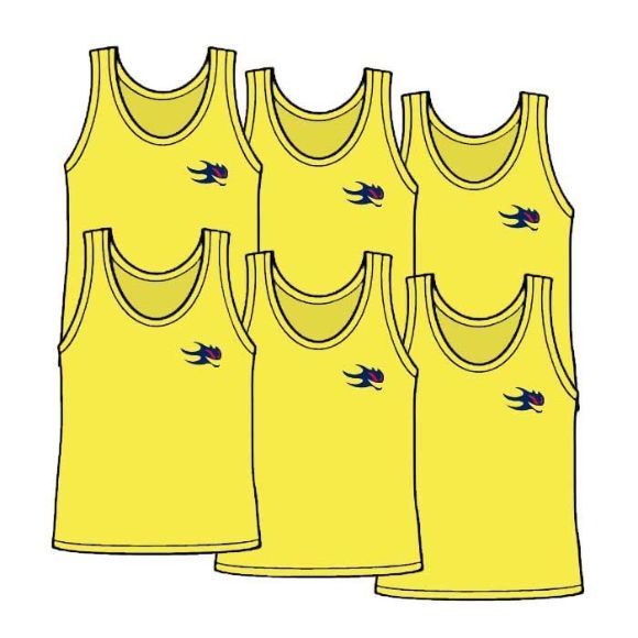 Picture of Package of 6 Youth Size Pinnies Style 905J 