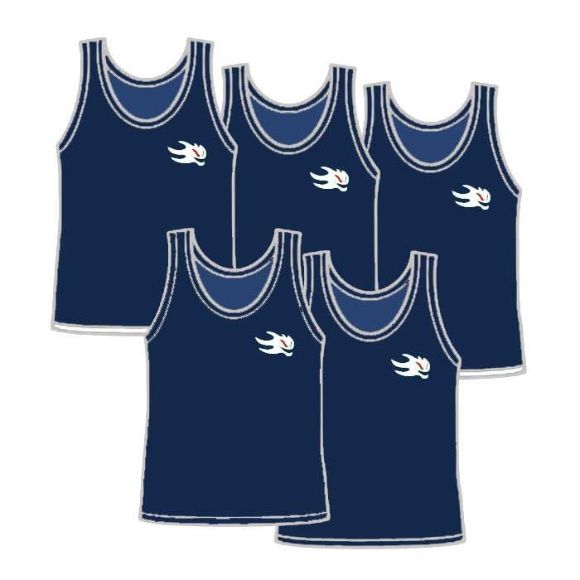 Picture of Package of 5 Adult Size Pinnies Style 905S 