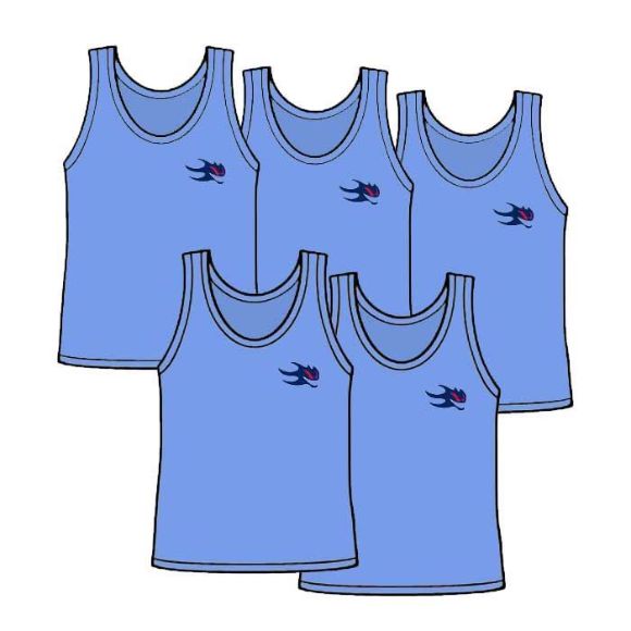 Picture of Package of 5 Adult Size Pinnies Style 905S 