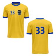 Picture of Custom Made Soccer Game Uniform Jersey with Team Logo and Player Numbers. Style 100J.